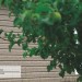 Сайдинг Ю-Пласт TIMBERBLOCK Пихта (Тимберблок) Cахалинская купить в Рубцовске