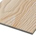 Фиброцементные панели FCSPRO Decor Wood Лиственница купить в Рубцовске