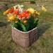 Цветник КАНЬОН купить в Рубцовске