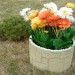 Цветник КАНЬОН купить в Рубцовске